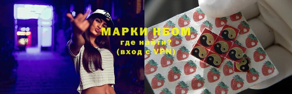 дмт Алзамай
