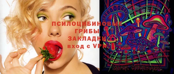 дмт Алзамай