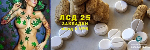 дмт Алзамай