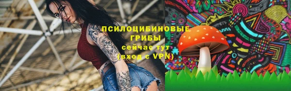 стаф Алексеевка