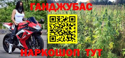 ГАЛЛЮЦИНОГЕННЫЕ ГРИБЫ Кингисепп