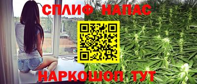 ГАЛЛЮЦИНОГЕННЫЕ ГРИБЫ Кингисепп