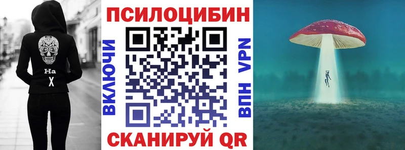 наркота  Кинель  дарк нет состав  Галлюциногенные грибы Psilocybine cubensis 