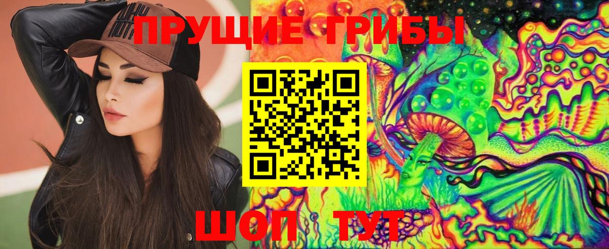купить наркоту  Галлюциногенные грибы Cubensis  Вход с VPN  Кинель 